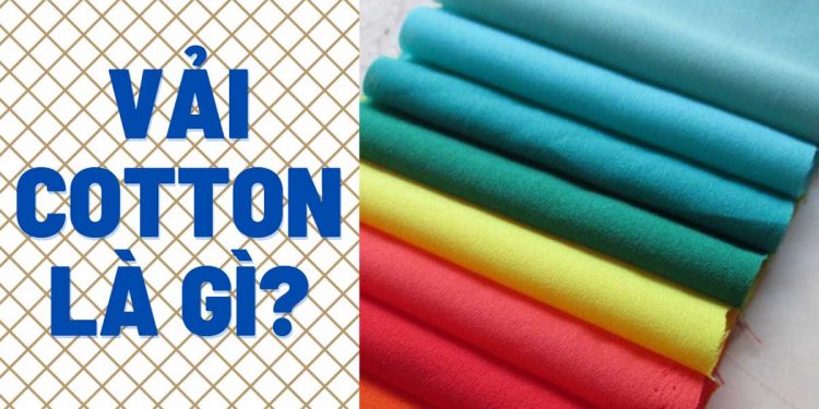 Vải cotton là gì? Điểm đặc trưng của vải cotton và cách nhận biết